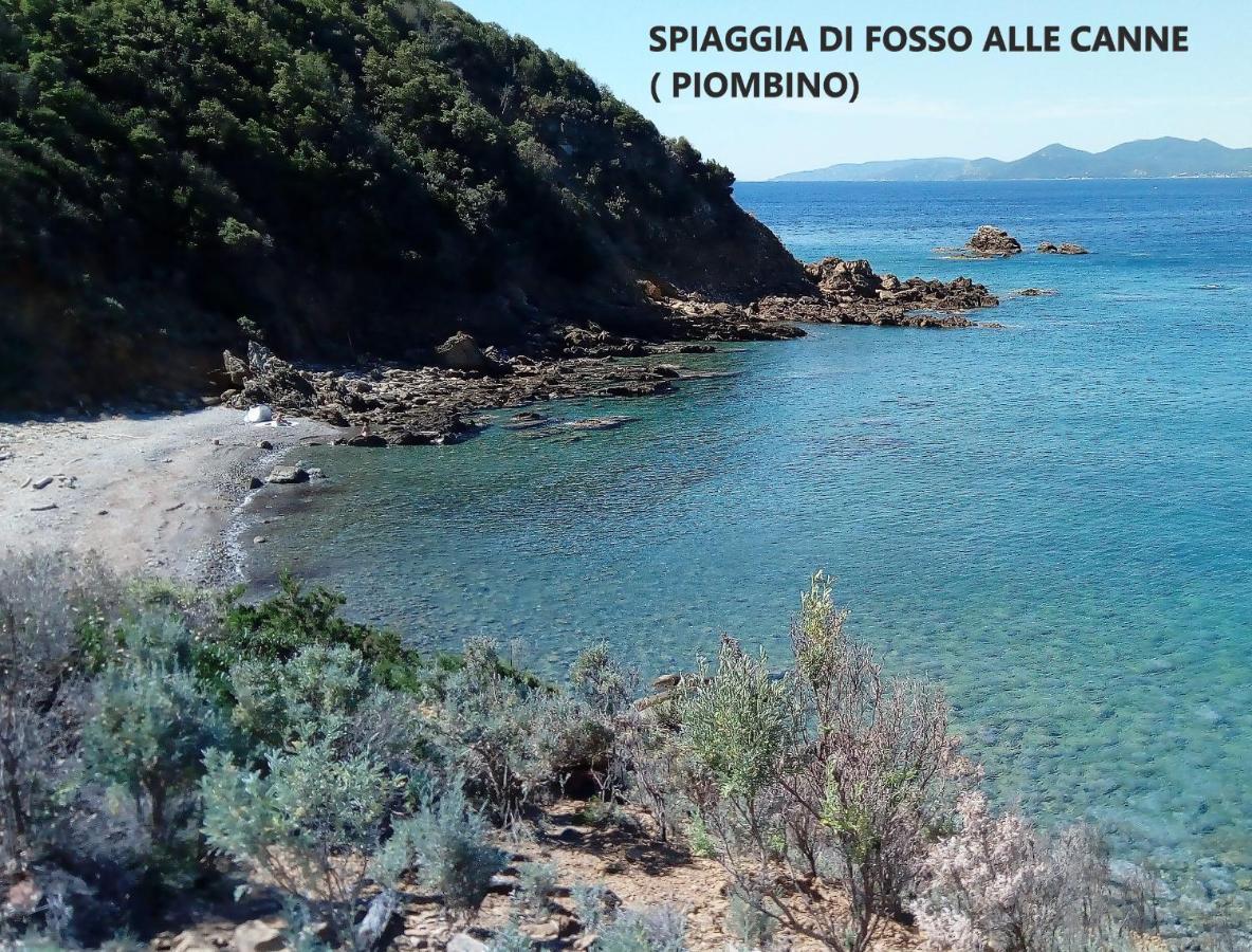 Spazio-Confort-Fitness Piombino Bagian luar foto