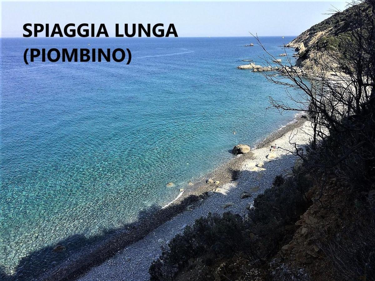 Spazio-Confort-Fitness Piombino Bagian luar foto