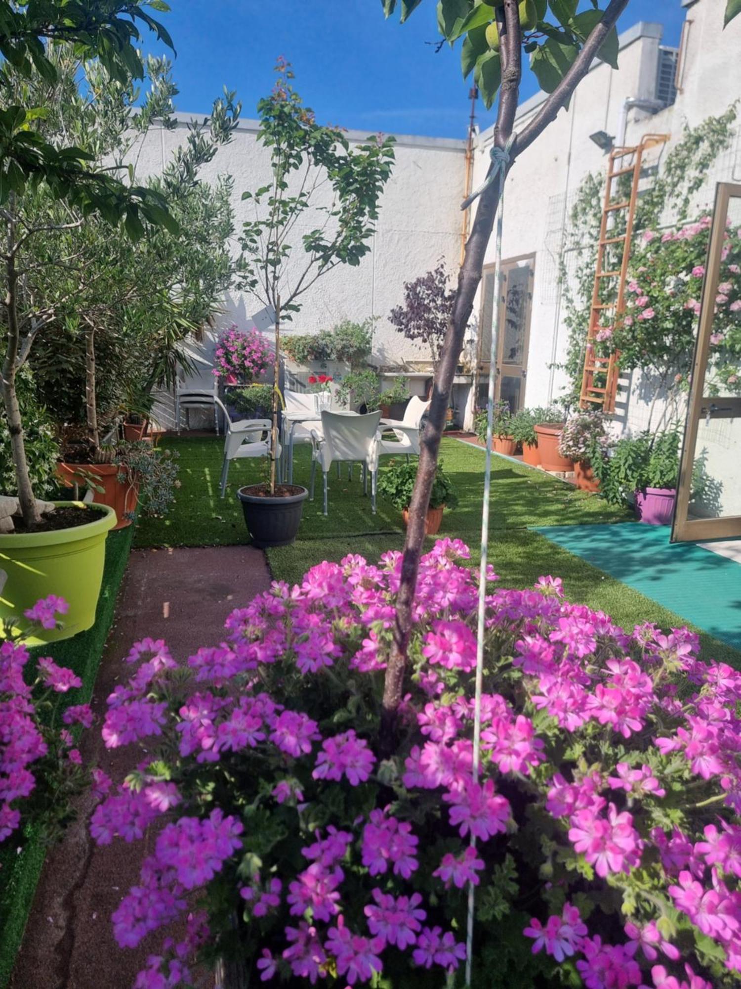 Spazio-Confort-Fitness Piombino Bagian luar foto